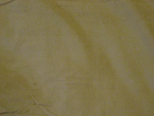COTTON CORDUROY Fabric Green color WIDE[2391]